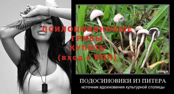 метадон Алексеевка