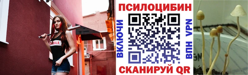 Псилоцибиновые грибы Psilocybe купить наркотики сайты Петров Вал